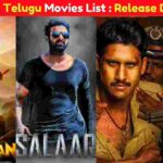 Upcoming Telugu Movies List: Release Date, Cast, Actress, Watch Online, Budgets
